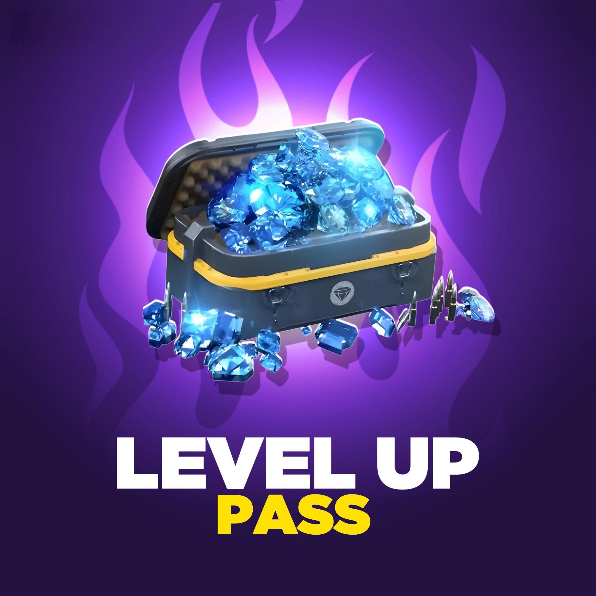 LEVEL UP PASS 